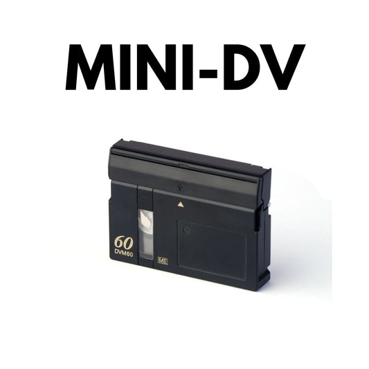 Transfer the Mini DV to the computer